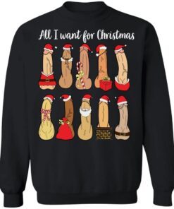 All I want for Christmas is penis Christmas T-Shirt