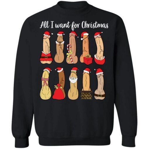 All I want for Christmas is penis Christmas T-Shirt