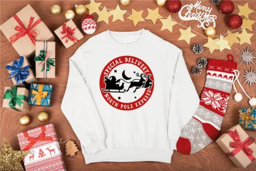 North Pole Spesial Delivery Christmas Tee Shirt