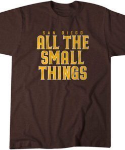 San Diego: All the Small Things Tee Shirt