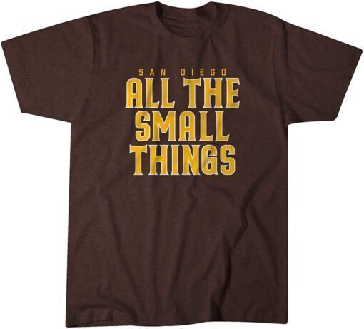 San Diego: All the Small Things Tee Shirt