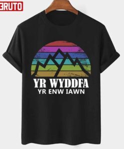Yr Wyddfa Yr Enw Iawn Vintage Tee shirt