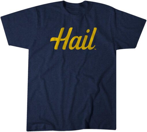 Michigan: Hail Tee Shirt