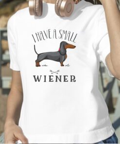 I Have A Small Wiener Wiener Dog Weiner Dachshund T-Shirt