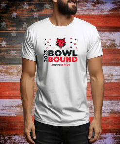 Arkansas State Red Wolves Bowl Bound 2023 SweatShirts