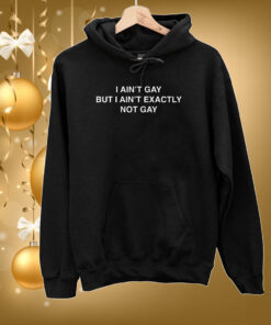 I Ain’t Gay But I Ain’t Exactly Not Gay Hoodie Shirt