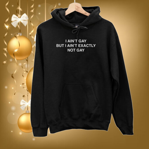 I Ain’t Gay But I Ain’t Exactly Not Gay Hoodie Shirt