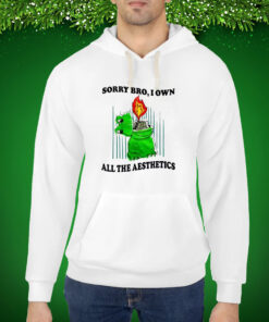 Sorry Bro I Own All The Aesthetics Hoodie T-Shirt