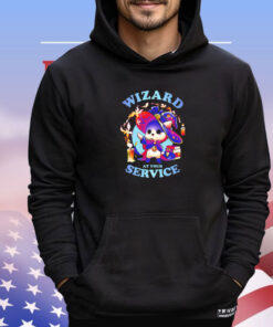 Cat wizard at your service shirt