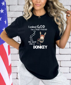 I asked God for a true friend so he sent me a donkey shirt