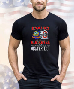 Ohio State Buckeyes I live Idoho and I love the Buckeyes which means I’m pretty much perfect shirt