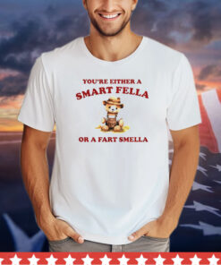 Teddy Bear you are either is smart fella or a fart smella shirt