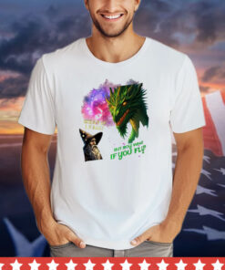 Wizard and dragon what if I fall but boy what if you fly shirt