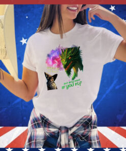 Wizard and dragon what if I fall but boy what if you fly shirt