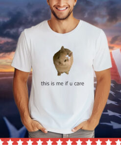 This Is Me If You Care shirt