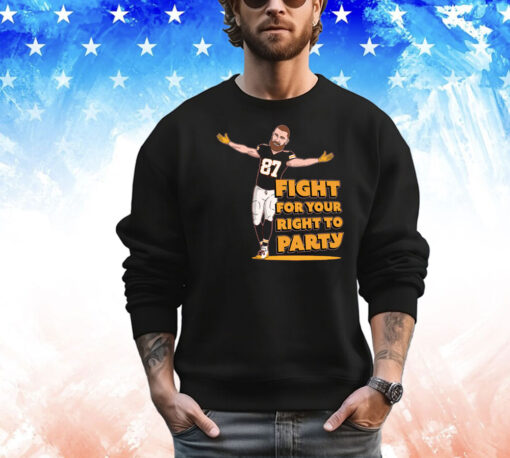 FIGHT FOR YOUR RIGHT II T-Shirt