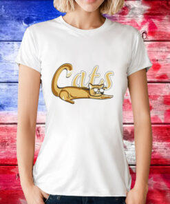 Lehigh valley ironpigs cats T-Shirt