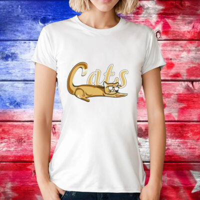 Lehigh valley ironpigs cats T-Shirt