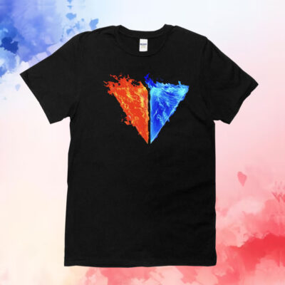 Viva la dirt league flame T-Shirt