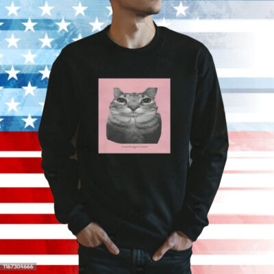 Tyler Cat All Songs Written Produced And Arranged By Cat t-shirt