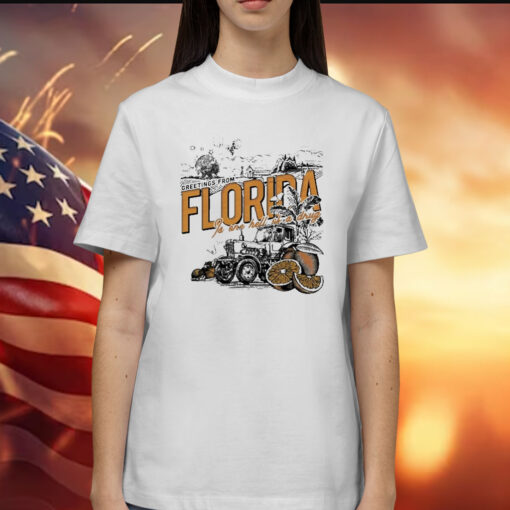 The Wonder Studio The Florida Is One Hell Of A Drug t-shirt