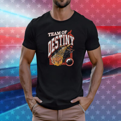Team Of Destiny Nc T-Shirt