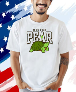Turtle mister pear varsity T-shirt
