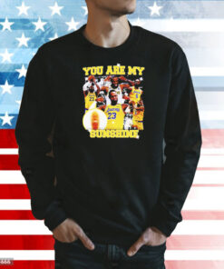 You are my sunshine Lebron James Shirt