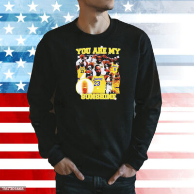 You are my sunshine Lebron James Shirt