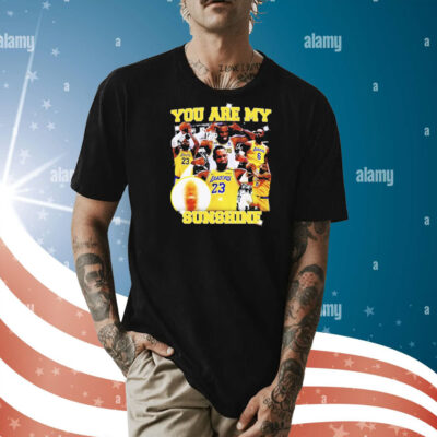 You are my sunshine Lebron James Shirt