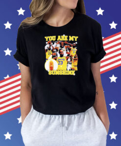 You are my sunshine Lebron James Shirt