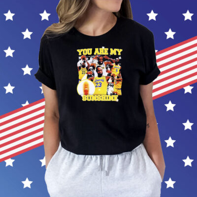 You are my sunshine Lebron James Shirt