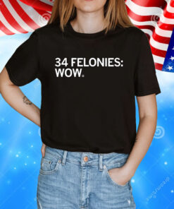 34 Felony Counts Wow Shirt