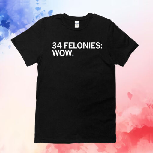 34 Felony Counts Wow Tee Shirt