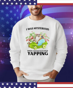 Cat I was mysterious when i should have been yapping T-Shirt