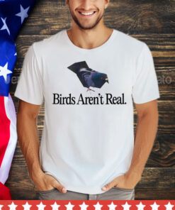 Pigeon birds aren’t real T-Shirt