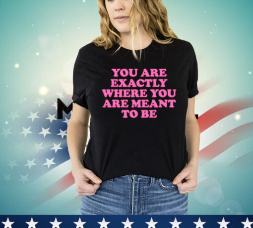 You are exactly where you are meant to be T-Shirt