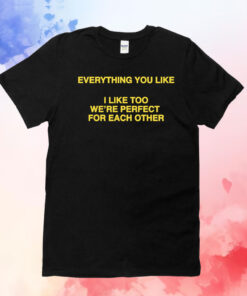 Everything You Like, I Like Too We're Perfect For Each Other TShirt