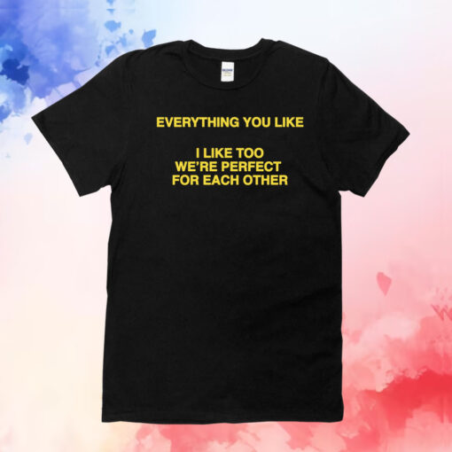 Everything You Like, I Like Too We're Perfect For Each Other TShirt