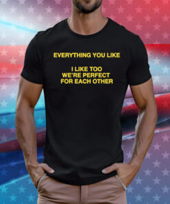 Everything You Like, I Like Too We're Perfect For Each Other TShirt