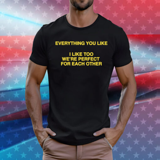 Everything You Like, I Like Too We're Perfect For Each Other TShirt