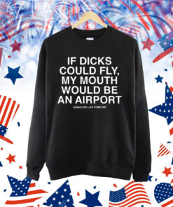 Official If dicks could fly my mouth would be an airport 2024 Shirt