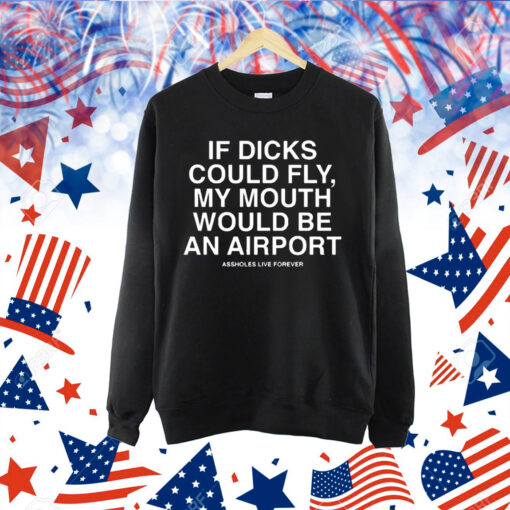 Official If dicks could fly my mouth would be an airport 2024 Shirt