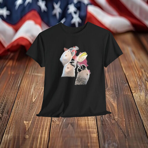 Apollo And Frens Three Moon Shirt