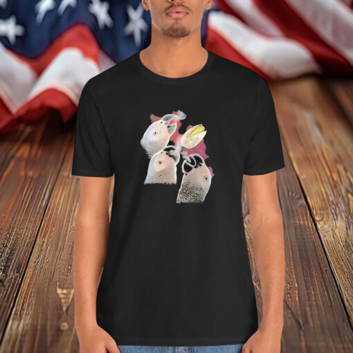 Apollo And Frens Three Moon Shirt