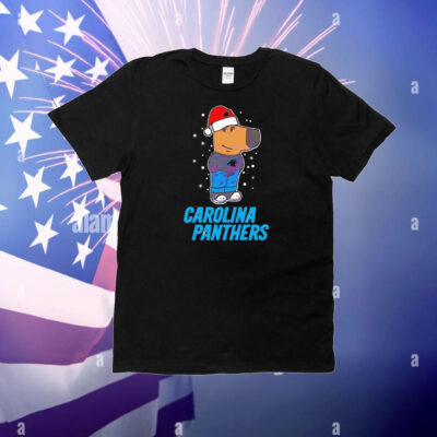 Just a Chill Guy Carolina Panthers football Christmas T-Shirt