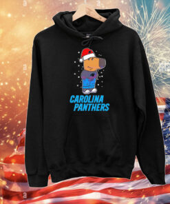 Just a Chill Guy Carolina Panthers football Christmas T-Shirt