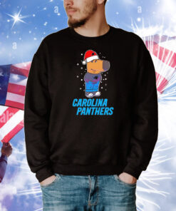 Just a Chill Guy Carolina Panthers football Christmas T-Shirt