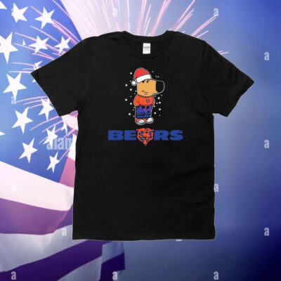 Just a Chill Guy Chicago Bears football Christmas T-Shirt