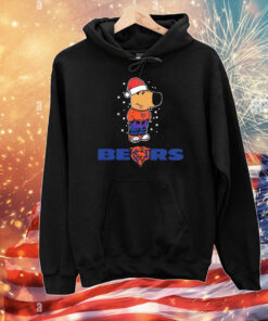 Just a Chill Guy Chicago Bears football Christmas T-Shirt
